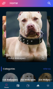 4K Pitbull HD Wallpapers 2020 screenshot 0