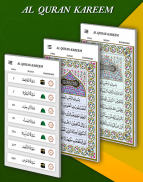 Al Quran - The Holy Quran 16 lines screenshot 2