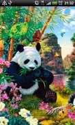 Panda Paradise Live Wallpaper screenshot 2