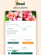Plantum - 植物识别，叶子、花卉和树木护理 screenshot 11