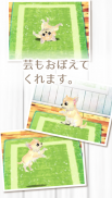 癒しの子犬育成ゲーム〜チワワ編〜 screenshot 2