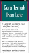 Cara Ternak Ikan Lele screenshot 2