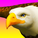 Eagle Ride Icon