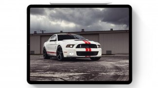 Wallpaper For Mustang Shelby Fans screenshot 5