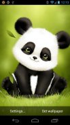 Panda Bobble Head Wallpaper screenshot 2