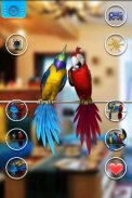 Talking Parrot Couple screenshot 1