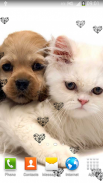 Cute Animals Live Wallpaper screenshot 4