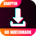 SnapTik - TT Video Downloader