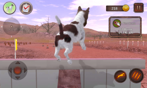 Greman  Shorthaired  Pointer screenshot 5