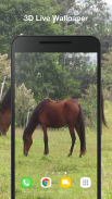 Horse Live Wallpaper screenshot 0