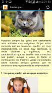 Imágenes de Gatos screenshot 3