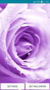 Papéis de Parede - Purple Rose screenshot 3