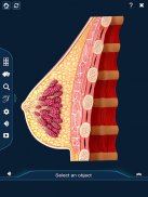 Breast Anatomy Pro. screenshot 8