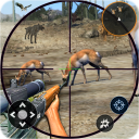 Wild Animal Shooting