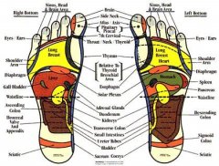 Body Reflexology Point screenshot 1