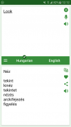 Hungarian - English Translator screenshot 3