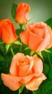 Flowers And Roses Animated Images Gif pictures 4K screenshot 2