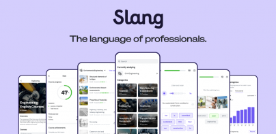 Slang: Professional English