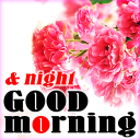 Good morning and night card