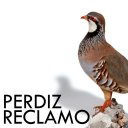 Perdiz Call