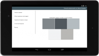 Полный цветовой тест Макса Люшера screenshot 5