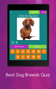 Best Dog Breeds Quiz screenshot 6