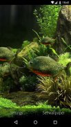 3D Fish Aquarium Wallpaper HD screenshot 4