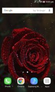 Snowy Rose Live Wallpaper screenshot 2