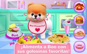 Boo – El Perro Más Lindo screenshot 1