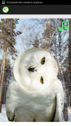 White Owl Spinner Prank screenshot 1