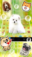 Cute White Puppy Keyboard Background screenshot 1