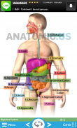 Cartões Flash Anatomia screenshot 6