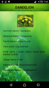 Medicinal Plants and Its Uses screenshot 9