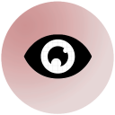 Vision Motion Icon