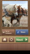 Jogos de Quebra-Cabeça Cavalos screenshot 6
