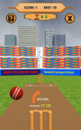 Bowled 3D - Cricket Game screenshot 16