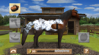 Pony Trails screenshot 1