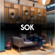 SOK Pro screenshot 2