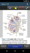 First Aid for Basic Sciences General Principles 3E screenshot 4