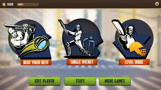 T20 Street Cricket Game screenshot 11