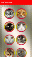 Gato Traductor - Sonidos de gato screenshot 6