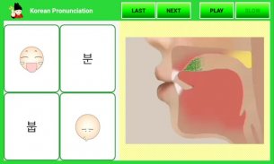 Korean Pronunciation (Lite) screenshot 6