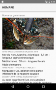LaMaille pour la pêche en mer screenshot 15