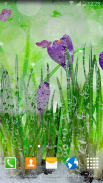 Spring Flower Live Wallpaper screenshot 2