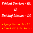 Driving License and Status Icon