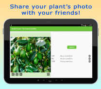 PlantID - Identify Plants screenshot 8