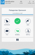 Taxonomy - Animal Quiz screenshot 11