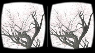 CherryBlossom VR for Cardboard screenshot 1