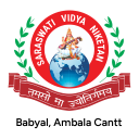 Saraswati Vidya Niketan,Babyal