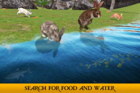 Ultimate Rabbit Simulator screenshot 1